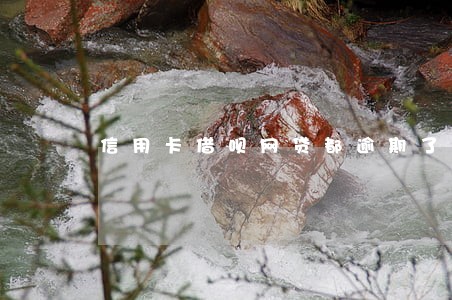 信用卡借呗网贷都逾期了