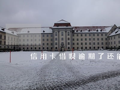 信用卡借呗逾期了还能办吗
