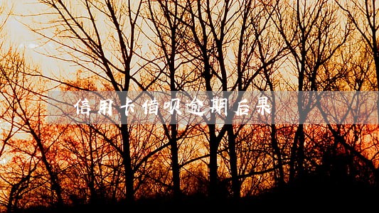 信用卡借呗逾期后果