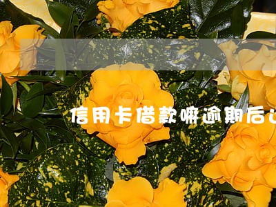 信用卡借款嘛逾期后还能 信用卡借款嘛逾期后还能