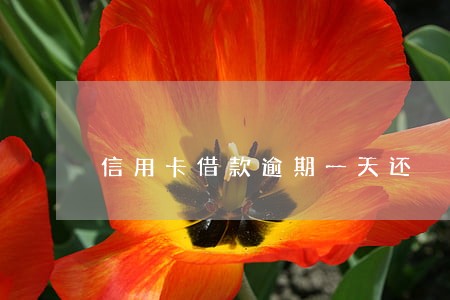 信用卡借款逾期一天还 信用卡借款逾期一天还