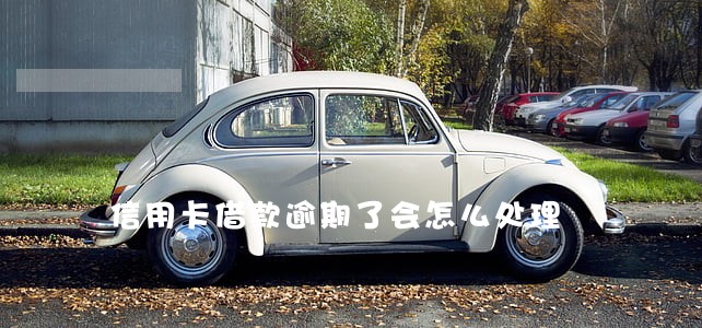 信用卡借款逾期了会怎么处理 信用卡借款逾期了会怎么处理