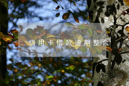 信用卡借款逾期整合 信用卡借款逾期整合