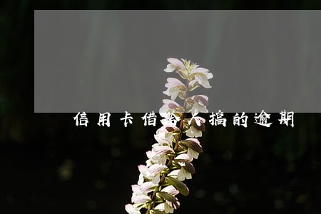 信用卡借给人搞的逾期 信用卡借给人搞的逾期