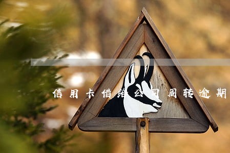 信用卡借给公司周转逾期了 信用卡借给公司周转逾期了