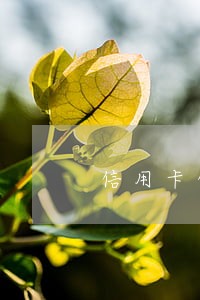 信用卡借给别人用有逾期 信用卡借给别人用有逾期