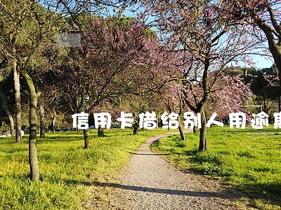 信用卡借给别人用逾期没能力还