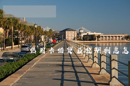 信用卡借贷后逾期利息怎么算 信用卡借贷后逾期利息怎么算