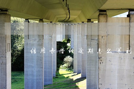 信用卡借钱逾期怎么算利息 信用卡借钱逾期怎么算利息
