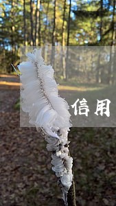 信用卡债务重组后继续逾期