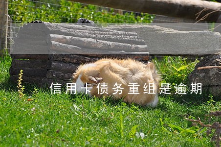 信用卡债务重组是逾期