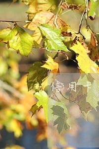 信用卡债务重组逾期 信用卡债务重组逾期