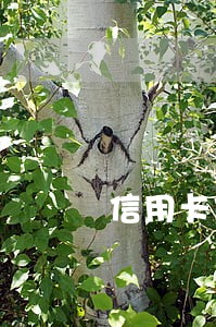 信用卡做生意逾期