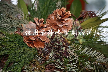 信用卡停卡逾期如何换卡 信用卡停卡逾期如何换卡