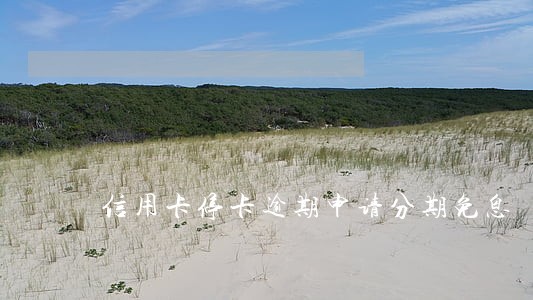 信用卡停卡逾期申请分期免息 信用卡停卡逾期申请分期免息