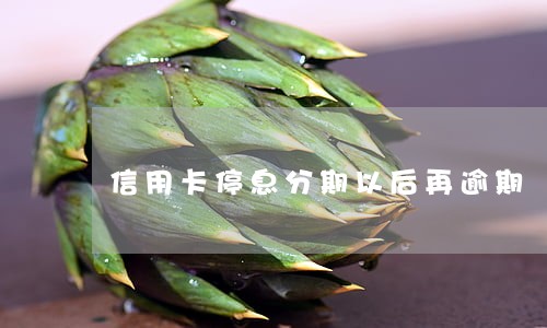 信用卡停息分期以后再逾期 信用卡停息分期以后再逾期