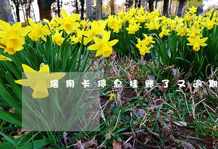 信用卡停息挂账了又逾期了怎么办