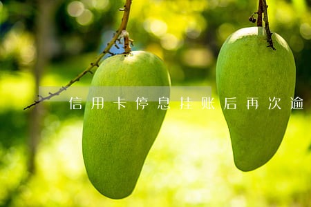 信用卡停息挂账后再次逾期 信用卡停息挂账后再次逾期