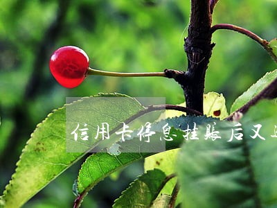信用卡停息挂账后又逾期怎么办 信用卡停息挂账后又逾期怎么办