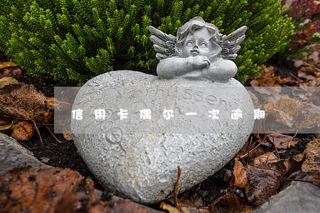 信用卡偶尔一次逾期 信用卡偶尔一次逾期