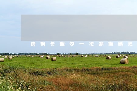 信用卡偶尔一次逾期两天 信用卡偶尔一次逾期两天