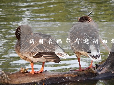 信用卡偶尔有逾期但都还清 信用卡偶尔有逾期但都还清