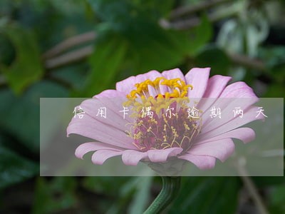 信用卡偶尔逾期两天
