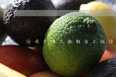 信用卡偶尔逾期会上征信记录吗 信用卡偶尔逾期会上征信记录吗