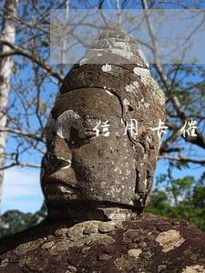 信用卡催债只还本金