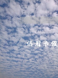 信用卡催债说只还本金可信吗 信用卡催债说只还本金可信吗