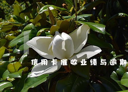 信用卡催收业绩与逾期时间
