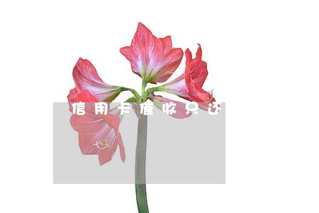 信用卡催收只还本金是真的吗 信用卡催收只还本金是真的吗