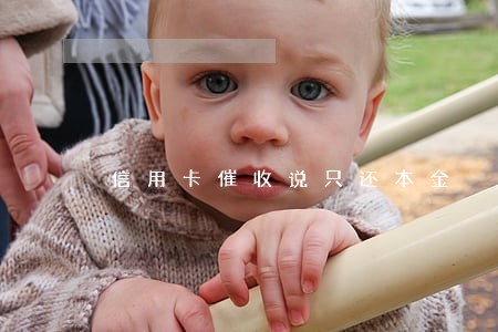 信用卡催收说只还本金 信用卡催收说只还本金