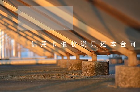 信用卡催收说只还本金可信吗 信用卡催收说只还本金可信吗