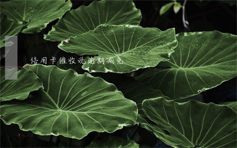 信用卡催收说逾期减免