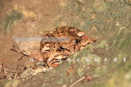 信用卡催收逾期联系家里