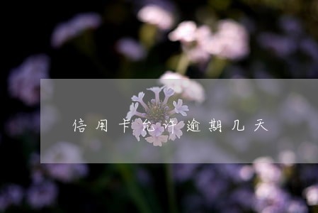 信用卡允许逾期几天 信用卡允许逾期几天