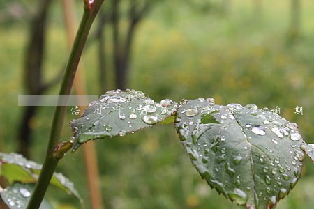 信用卡先还一部分算逾期吗 信用卡先还一部分算逾期吗