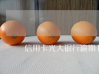信用卡光大银行逾期10年 信用卡光大银行逾期10年