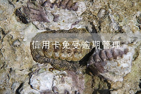 信用卡免受逾期管理 信用卡免受逾期管理