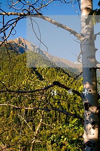 信用卡免息分期逾期怎么办 信用卡免息分期逾期怎么办