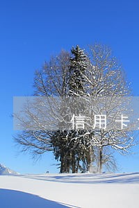 信用卡免息期算逾期么 信用卡免息期算逾期么