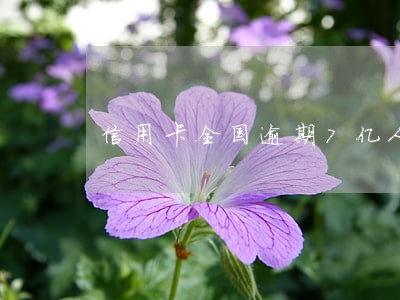 信用卡全国逾期7亿人 信用卡全国逾期7亿人