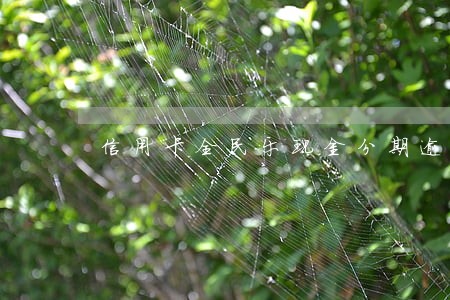 信用卡全民乐现金分期逾期 信用卡全民乐现金分期逾期