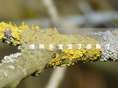 信用卡全空了逾期了 信用卡全空了逾期了