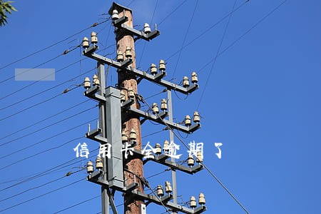 信用卡全逾期了