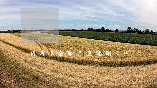 信用卡全部严重逾期了