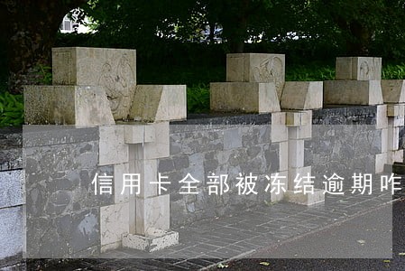 信用卡全部被冻结逾期咋办 信用卡全部被冻结逾期咋办