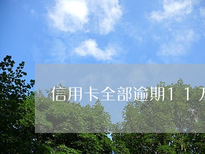 信用卡全部逾期11万 信用卡全部逾期11万