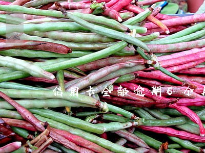 信用卡全部逾期6个月 信用卡全部逾期6个月